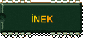 NEK