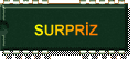 SURPRZ