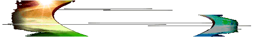 TAM KADRO